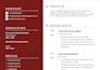be your professional chat call and email customer support agent